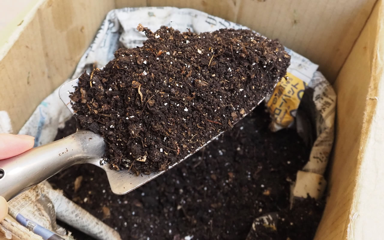 コンポスト6カ月目